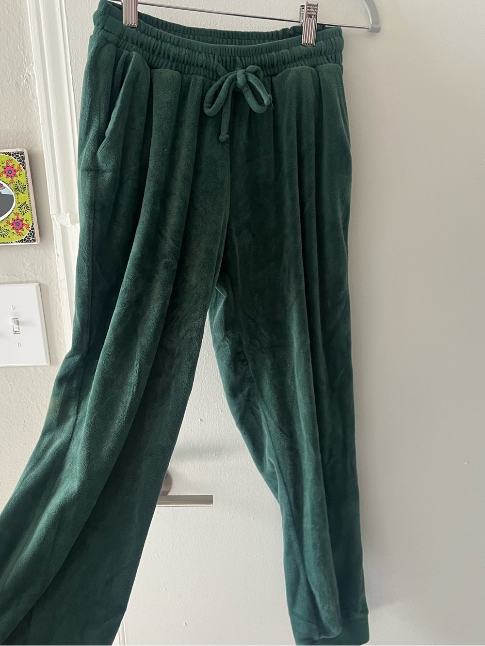 Forest Green Plush velvet Sweat Pants - Picture 3 of 4